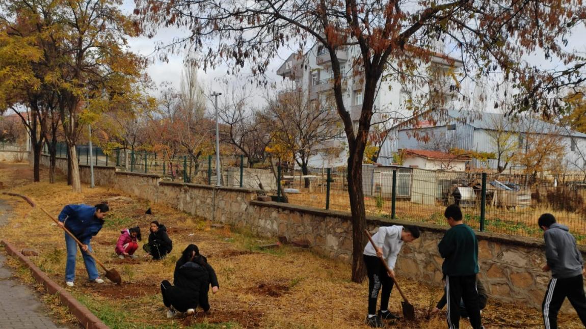 24 Kasım Öğretmenler Günü Ağaç Dikme Etkinliği 