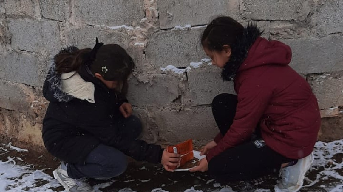 ÇEDES Projesi Şubat Ayı Etkinlikleri (Dostluk)